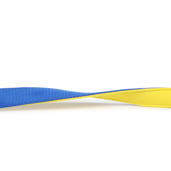 Basil Nylon Padded Leash for Dogs (Blue)