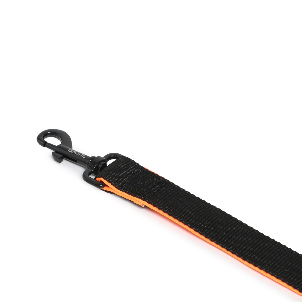 Basil Nylon Padded Leash for Dogs (Black) Dogs-Collar, Leashes, harnesses Basil