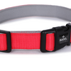 Basil Nylon Padded Collar for Dogs (Red) Dogs-Collar, Leashes, harnesses Basil