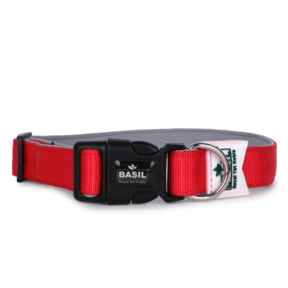 Basil Nylon Padded Collar for Dogs (Red)