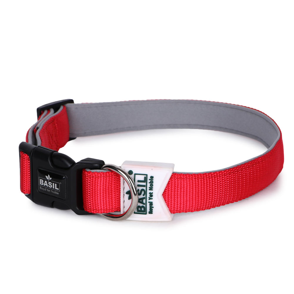 Basil Nylon Padded Collar for Dogs (Red)