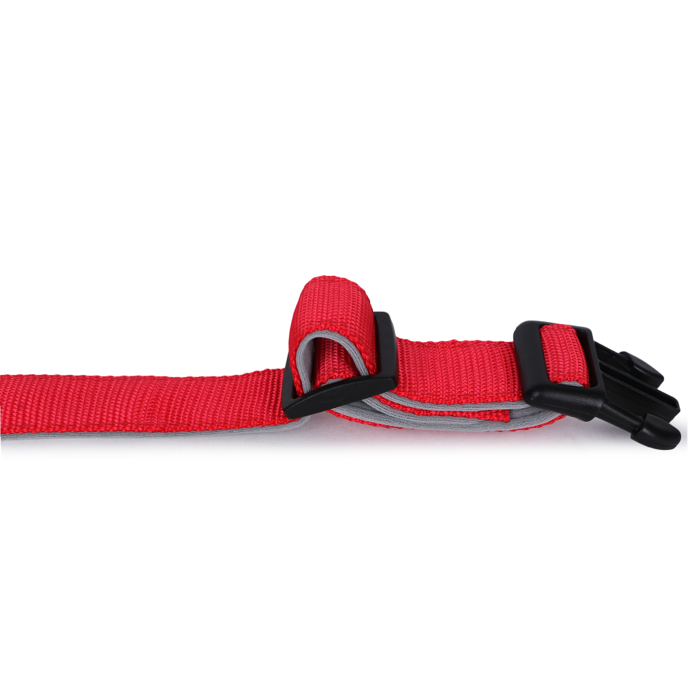 Basil Nylon Padded Collar for Dogs (Red)