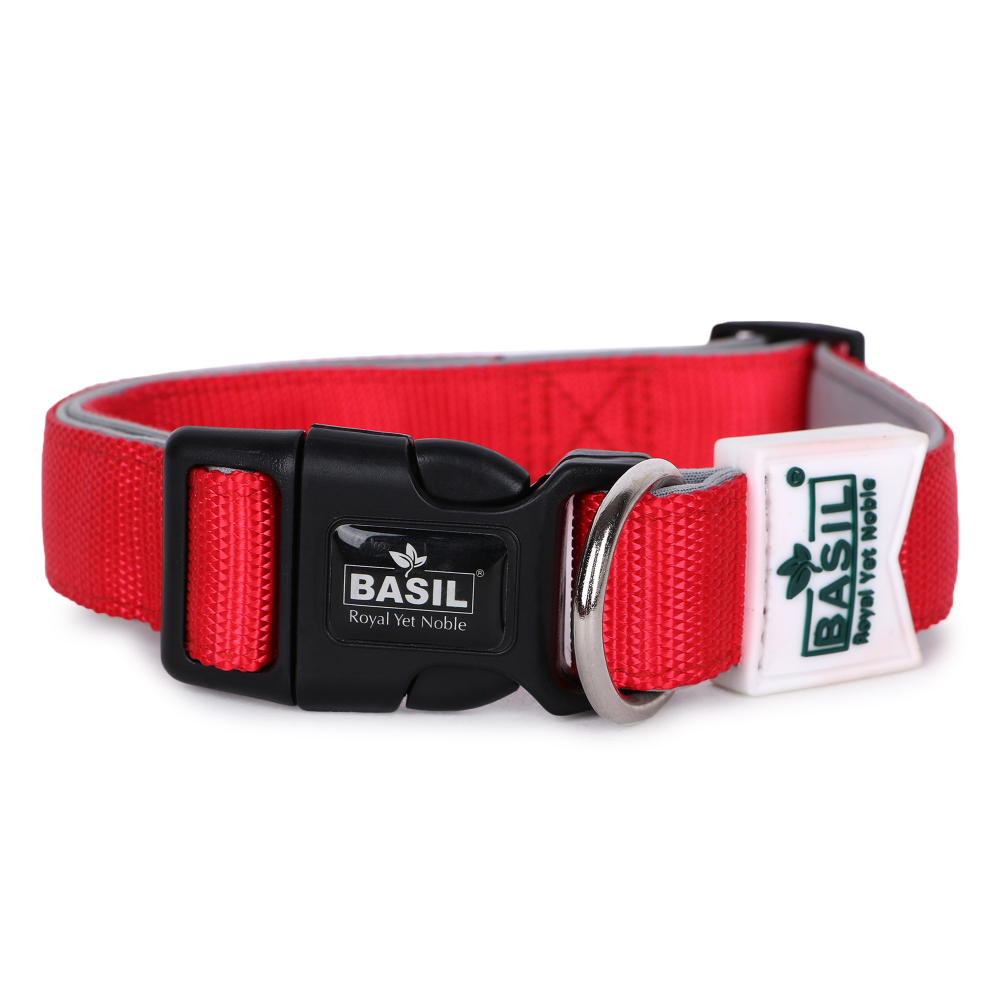 Basil Nylon Padded Collar for Dogs (Red)