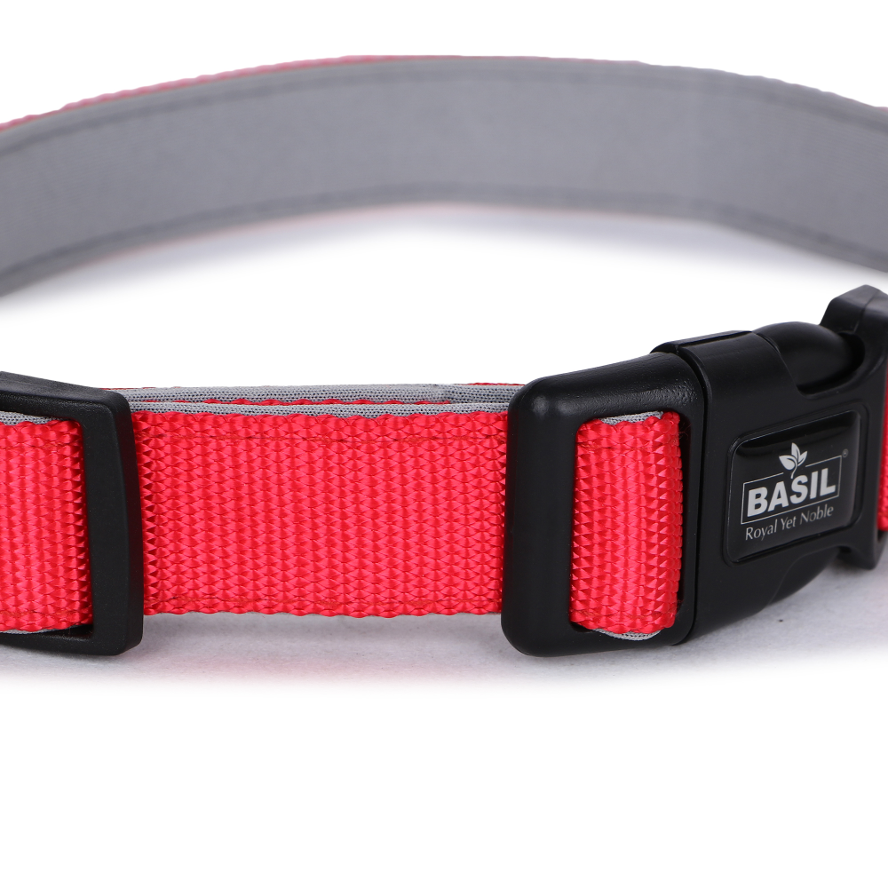 Basil Nylon Padded Collar for Dogs (Red)