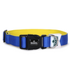 Basil Nylon Padded Collar for Dogs (Blue)
