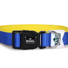 Basil Nylon Padded Collar for Dogs (Blue)