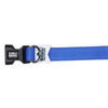 Basil Nylon Padded Collar for Dogs (Blue)