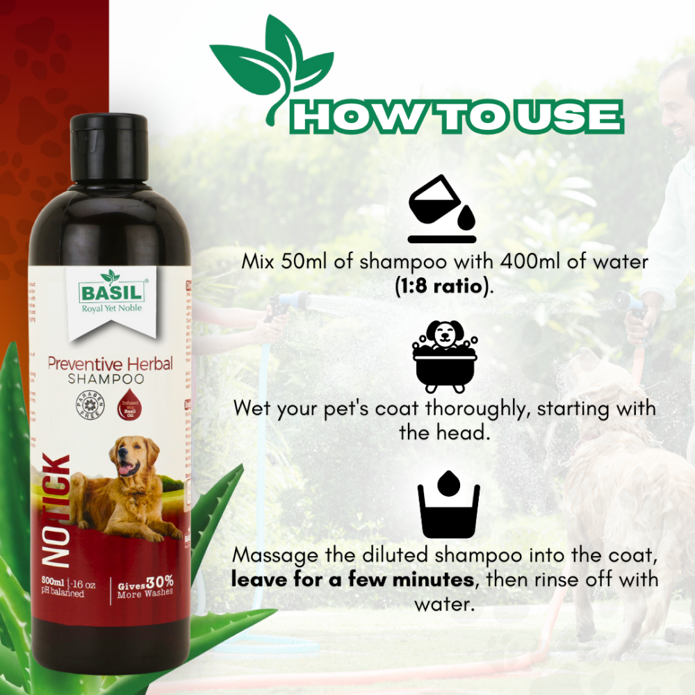 Basil Oat & Aloe Moisturising Shampoo for Dogs and Cats