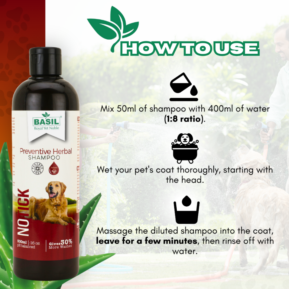Basil Oat & Aloe Moisturising Shampoo for Dogs and Cats Both-Grooming Supplies Basil