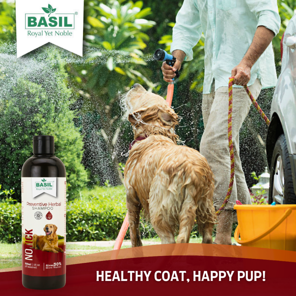 Basil Oat & Aloe Moisturising Shampoo for Dogs and Cats Both-Grooming Supplies Basil