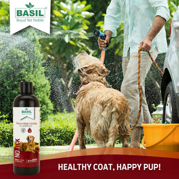 Basil Oat & Aloe Moisturising Shampoo for Dogs and Cats