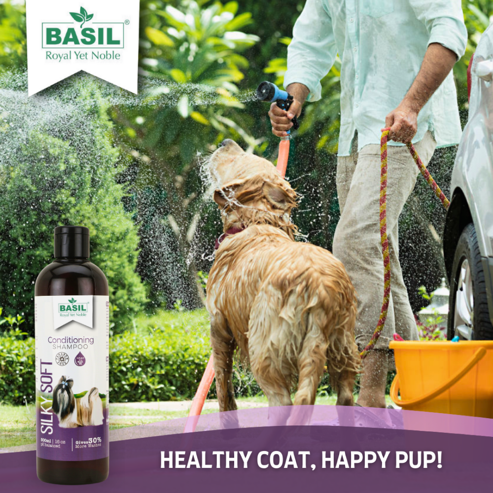 Basil Silky Soft Conditioning Dog Shampoo Dogs-Grooming Supplies Basil