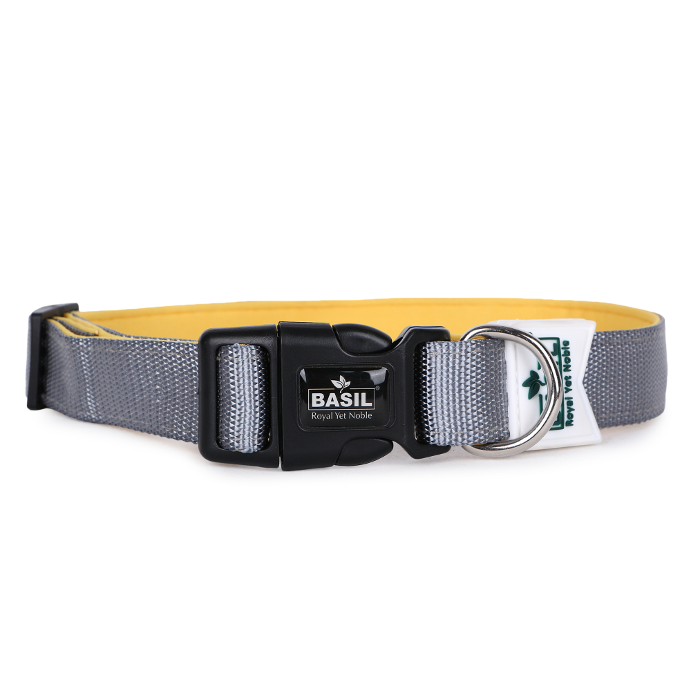 Basil Nylon Padded Collar for Dogs (Black) Dogs-Collar, Leashes, harnesses Basil