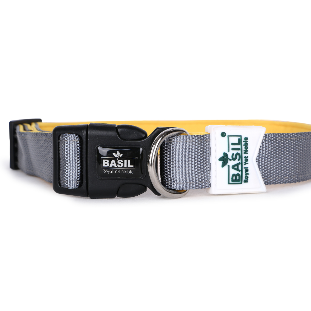 Basil Nylon Padded Collar for Dogs (Black) Dogs-Collar, Leashes, harnesses Basil S:10-16in Neck