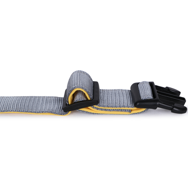 Basil Nylon Padded Collar for Dogs (Black)