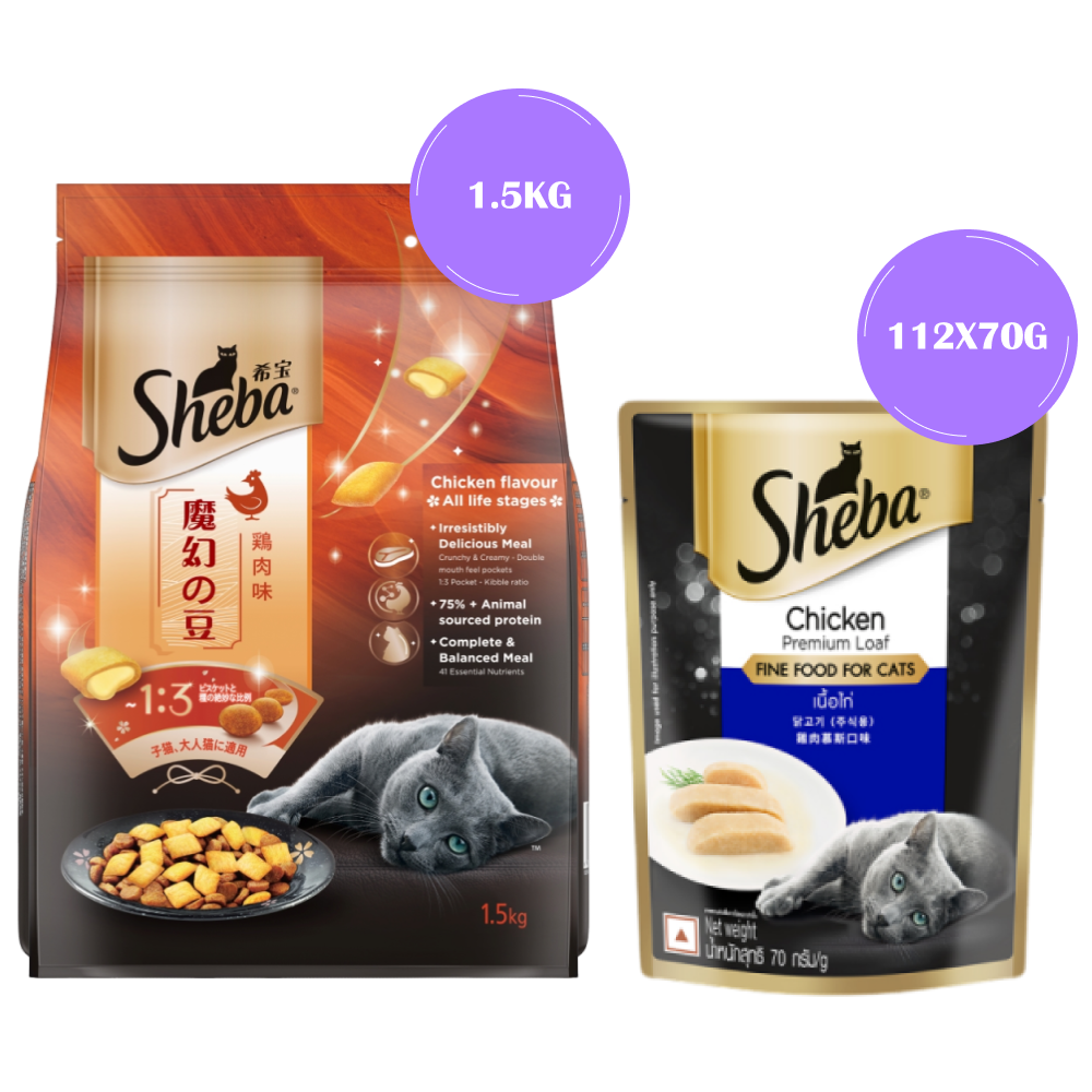 Sheba Chicken Loaf Rich Premium Adult Fine Wet Food and Chicken Flavour Irresistible All Life Stage Cat Dry Food Combo Exclusive Combo Exclusive Combo 112x70g+400g