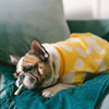 Pet Set Go Joey’s Sweater for Dogs and Cats (Yellow) Both-Clothing & Accessories Pet Set Go Dropship