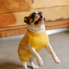 Pet Set Go Joey’s Sweater for Dogs and Cats (Yellow) Both-Clothing & Accessories Pet Set Go Dropship