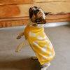 Pet Set Go Joey’s Sweater for Dogs and Cats (Yellow) Both-Clothing & Accessories Pet Set Go Dropship