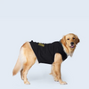 Pet Set Go Polo Knit Tshirt for Dogs (Black)