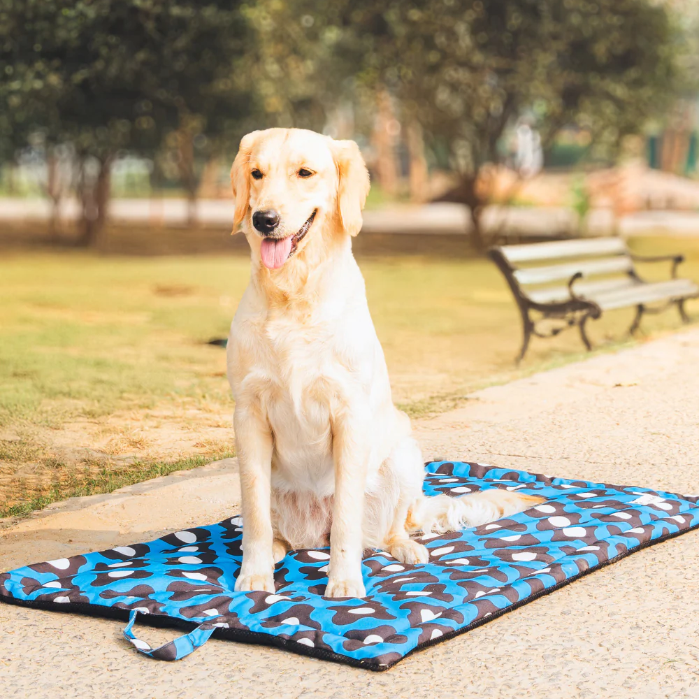 Pet Set Go Bliss Mat for Dogs and Cats (Blue)