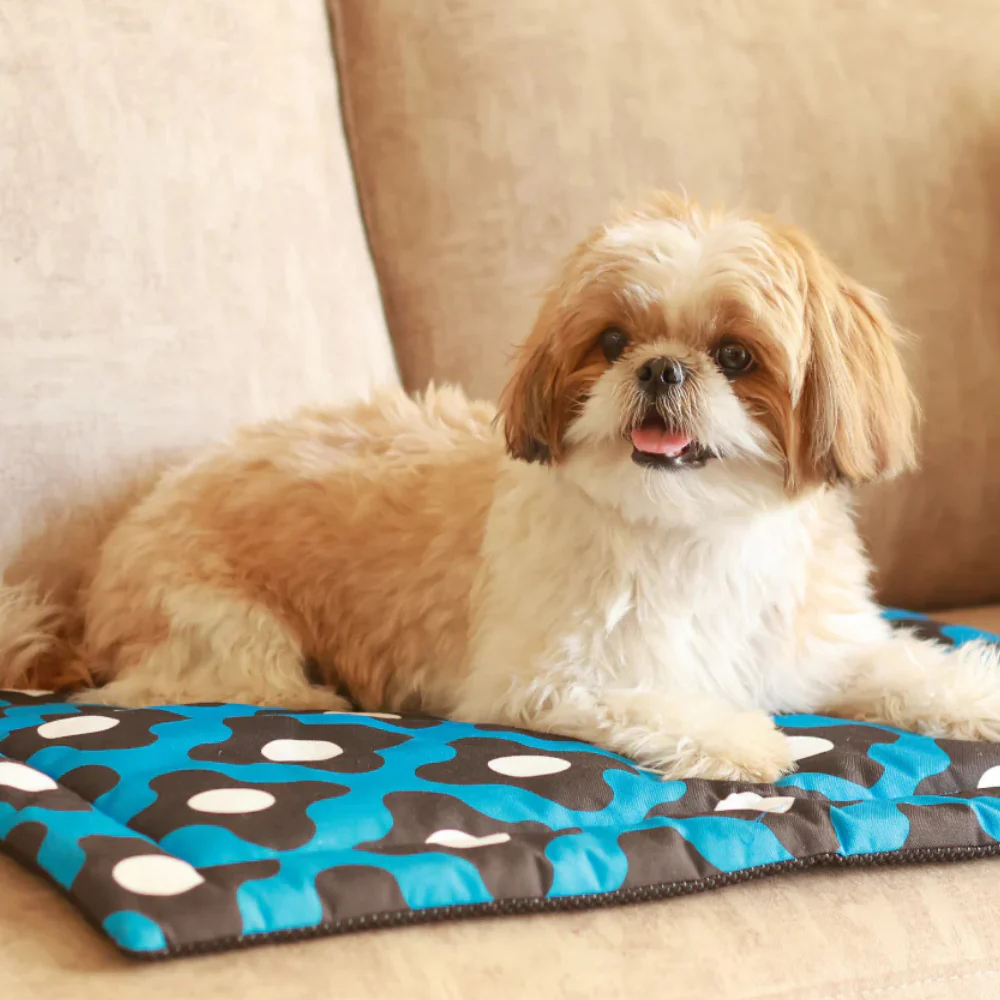 Pet Set Go Bliss Mat for Dogs and Cats (Blue)