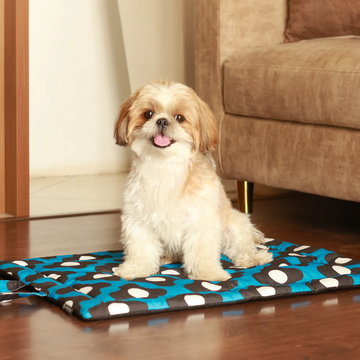 Pet Set Go Bliss Mat for Dogs and Cats (Blue)