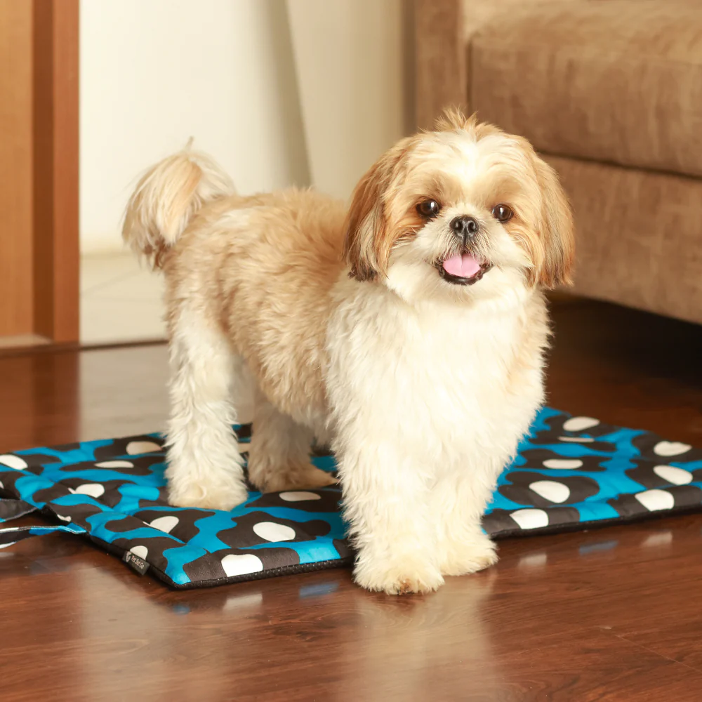 Pet Set Go Bliss Mat for Dogs and Cats (Blue)