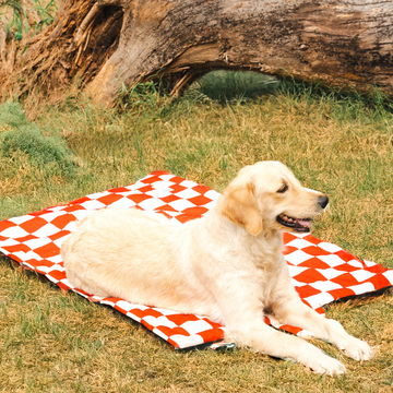 Pet Set Go Cozy Checks Mat for Dogs and Cats (Red)