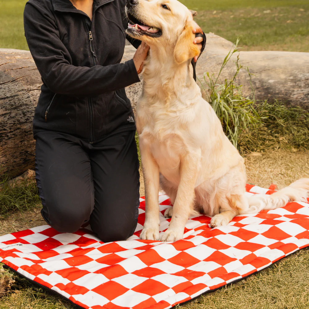 Pet Set Go Cozy Checks Mat for Dogs and Cats (Red)