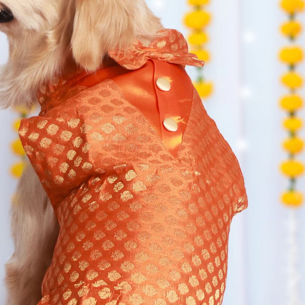 Pet Set Go Kurta with Bowtie for Dogs (Orange) Dogs-Clothing & Accessories Pet Set Go Dropship