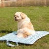 Pet Set Go Sky Bloom Mat for Dogs (Sky Blue) Dogs-Bedding, Mats & Travel Supplies Pet Set Go Dropship
