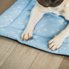 Pet Set Go Sky Bloom Mat for Dogs (Sky Blue) Dogs-Bedding, Mats & Travel Supplies Pet Set Go Dropship