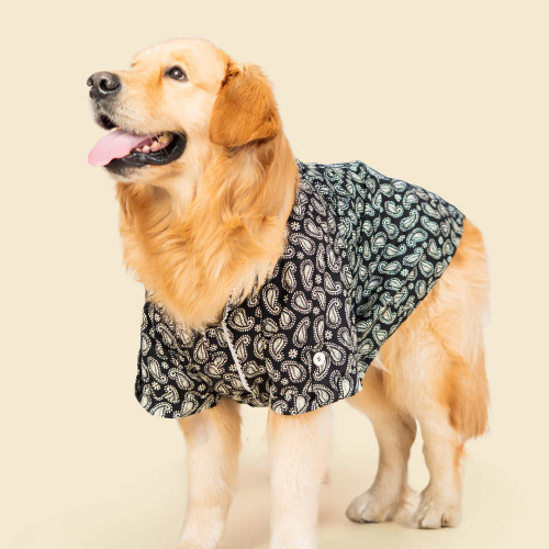 Pet Set Go Heritage Cotton Shirt for Dogs (Black) Dogs-Clothing & Accessories Pet Set Go Dropship