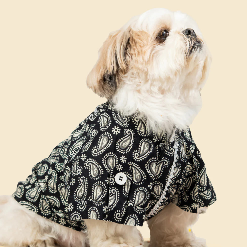 Pet Set Go Heritage Cotton Shirt for Dogs (Black) Dogs-Clothing & Accessories Pet Set Go Dropship