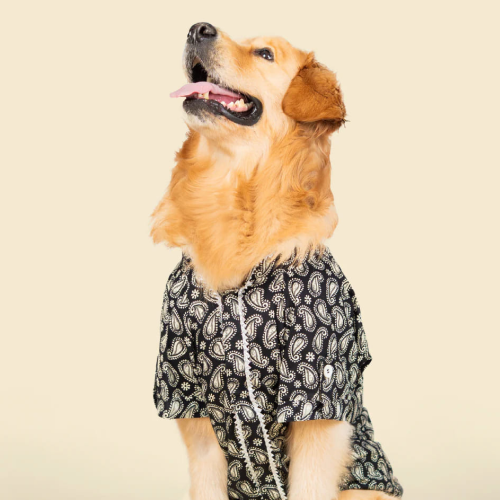 Pet Set Go Heritage Cotton Shirt for Dogs (Black) Dogs-Clothing & Accessories Pet Set Go Dropship 14