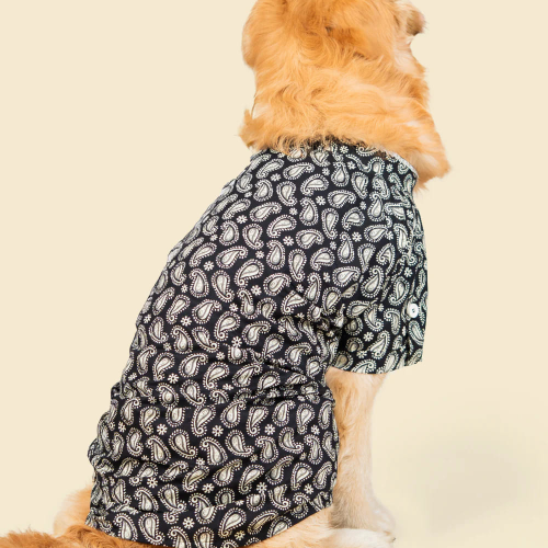 Pet Set Go Heritage Cotton Shirt for Dogs (Black) Dogs-Clothing & Accessories Pet Set Go Dropship
