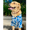15buttons Blue Moo Shirt for Dogs Dogs-Clothing & Accessories 15buttons Dropship
