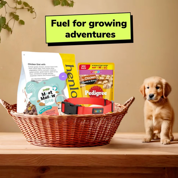 Essential Puppy Starter Pack (2–12 Months) Food, Treat and Collar