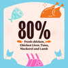 Kennel Kitchen Lamb with Chicken Shreds in Gravy Kitten and Adult Cat Wet Food (All Life Stage) Cats-Wet Food Kennel Kitchen
