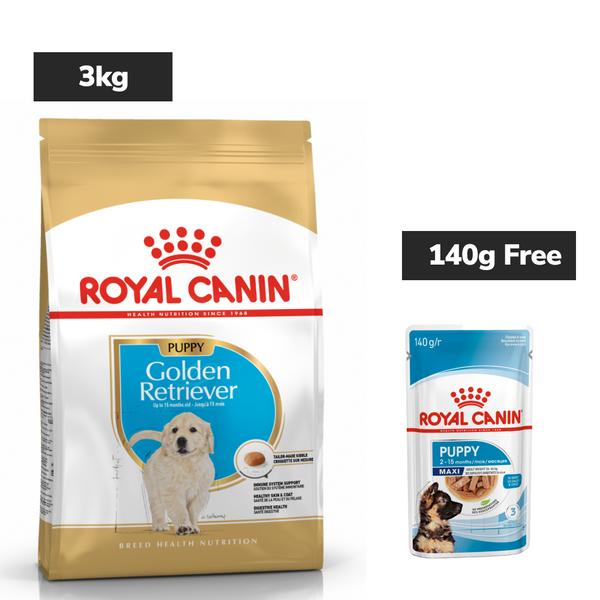 Golden Retriever Puppy Dry Food For Labradors Royal Canin