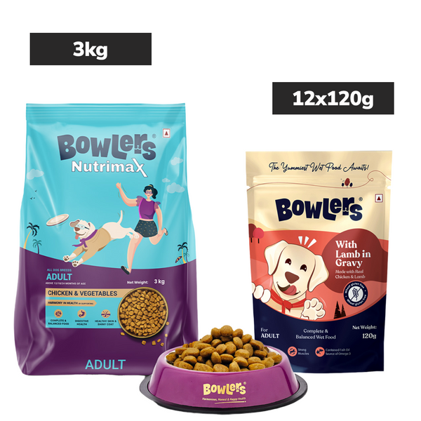 Bowlers Nutrimax Chicken & Vegetables Adult Dry and Lamb in Gravy Adult Dog Wet Food Combo