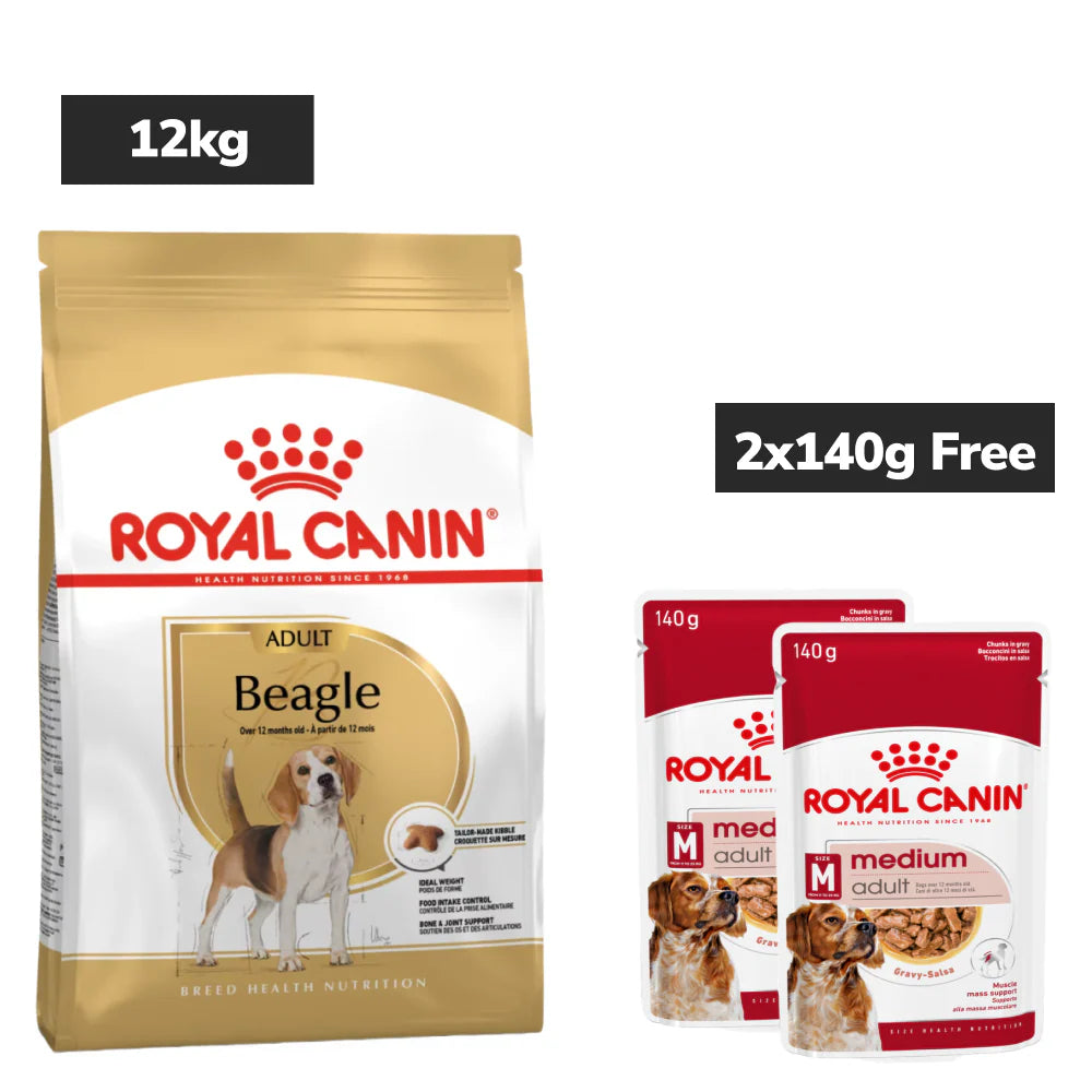 Royal Canin Beagle Adult Dog Dry Food Dogs- Dry Food Royal Canin 12kg+2x140g (Wet Free)
