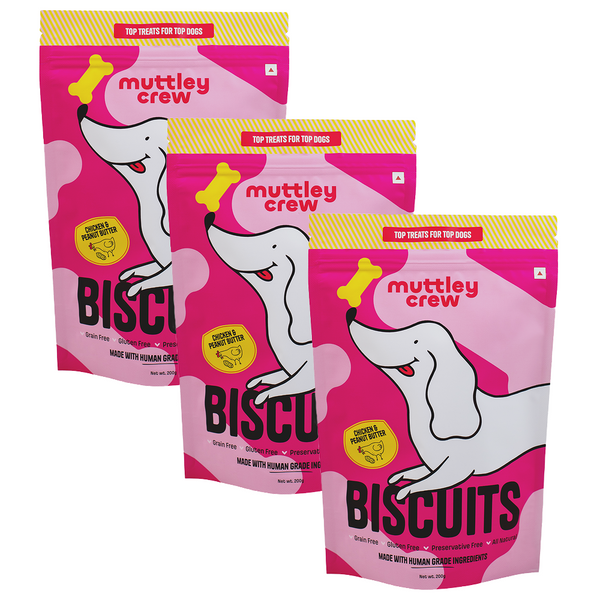 Muttley Crew Chicken and Peanut Butter Biscuits Dog Treats