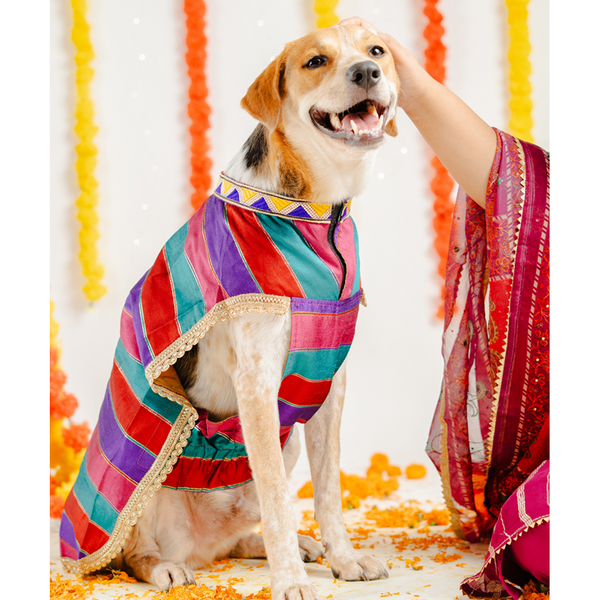 Pet Set Go Kurta for Dogs (Multi Coloured)