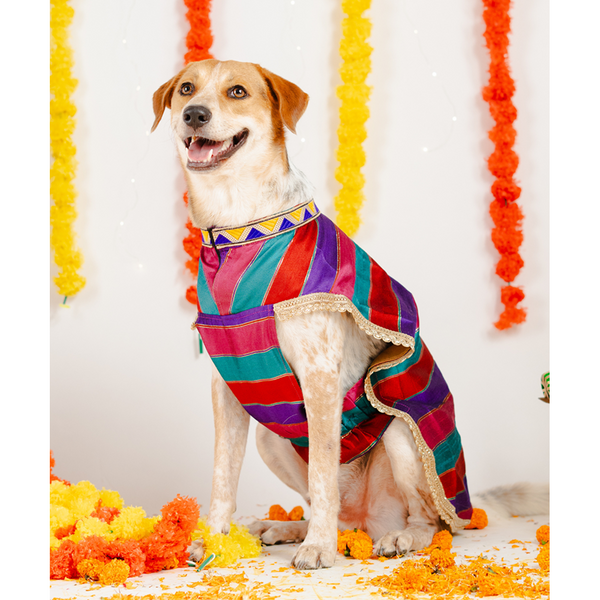 Pet Set Go Kurta for Dogs (Multi Coloured)