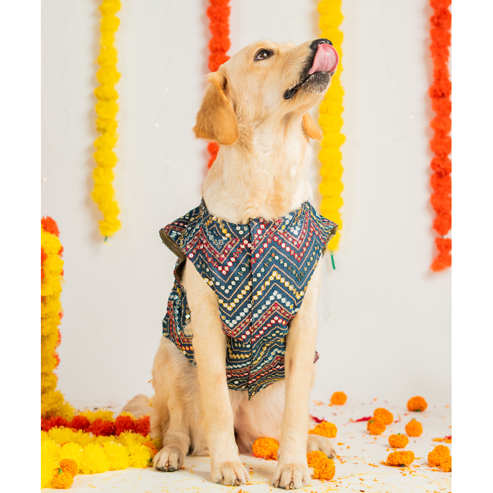 Pet Set Go Sherwani for Dogs (Blue) Dogs-Clothing & Accessories Pet Set Go Dropship