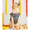 Pet Set Go Sherwani for Dogs (Blue) Dogs-Clothing & Accessories Pet Set Go Dropship