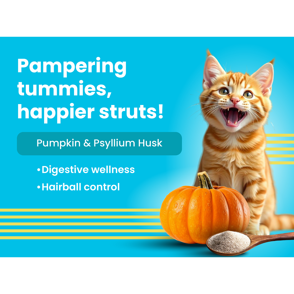 Bark Out Loud Mackerel & Duck Chunks Gravy Adult Cat Wet Food Cats-Wet Food Bark Out Loud