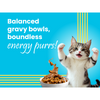 Bark Out Loud Mackerel & Duck Chunks Gravy Adult Cat Wet Food Cats-Wet Food Bark Out Loud
